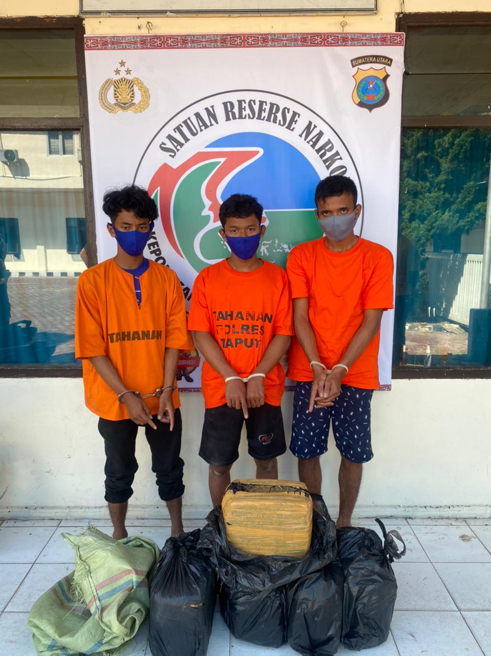 Bawa 30 Kg Ganja, 3 Pria Diamankan Polres Taput |