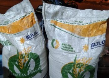 Bansos Tidak Tepat Sasaran, DPD GMASI SUMUT Minta Kementerian Sosial Tindaklanjuti