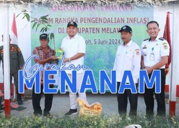 Dalam Upaya Pengendalian Inflasi Dan Ketahanan Pangan, Bupati Melawi Gelar Pencanangan Gerakan Tanam
