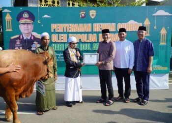 Peringati Idul Adha 1445 Hijriah Polda Kalbar Dan Polres Jajaran Salurkan 135 Ekor Sapi Dan 134 Ekor Kambing 