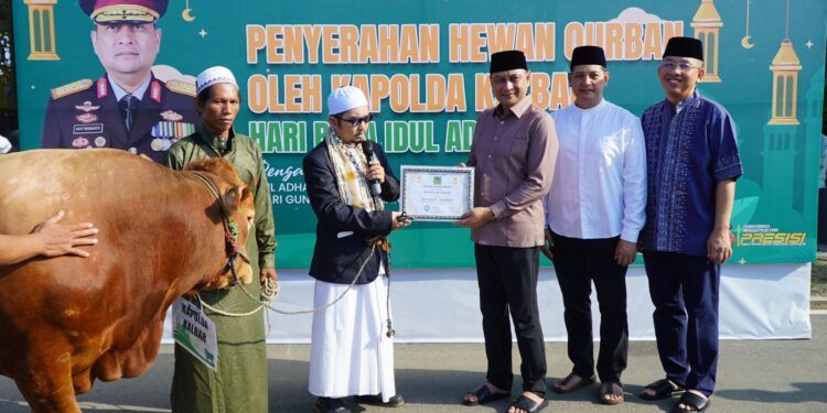 Peringati Idul Adha 1445 Hijriah Polda Kalbar Dan Polres Jajaran Salurkan 135 Ekor Sapi Dan 134 Ekor Kambing 