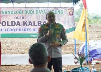 Kapolda Kalbar Hadiri Penerapan Bioteknologi Budidaya Jagung Di Sanggau Ledo