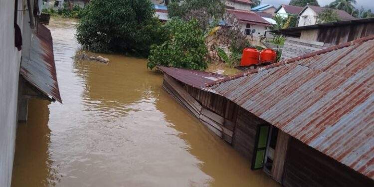 Akibat Luapan Sungai, Kondisi Banjir Landa Wilayah Menyuke