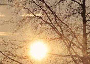 Terkuak! 17+8 Tuntutan DPR: Aspirasi Pro Rakyat