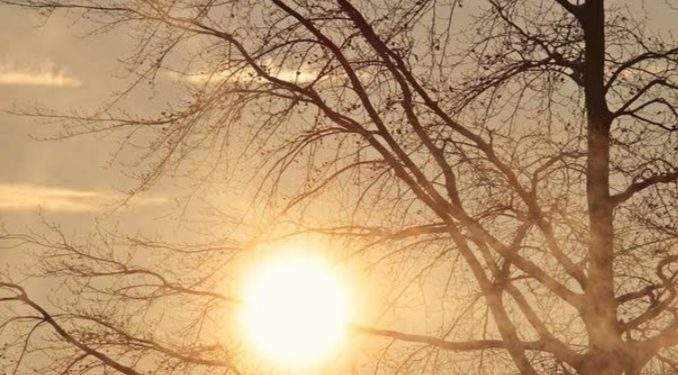 Terkuak! 17+8 Tuntutan DPR: Aspirasi Pro Rakyat