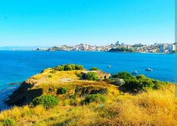 ASDP Menggerakkan Ekonomi Pulau Kecil: Dari Dermaga ke Pasar Nusantara