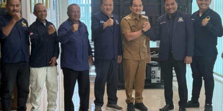 DPD NasDem, Audiensi ke Walikota Tebing Tinggi, Siap Berkolaborasi  Membangun kota 