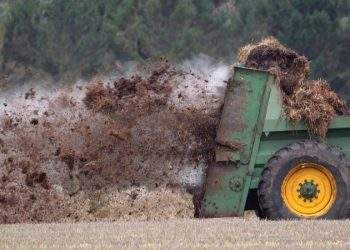“Dari Lahan Retak ke Panen Melimpah: Perjalanan Transformasi Pupuk Indonesia Mengawal Produktivitas Petani Negeri