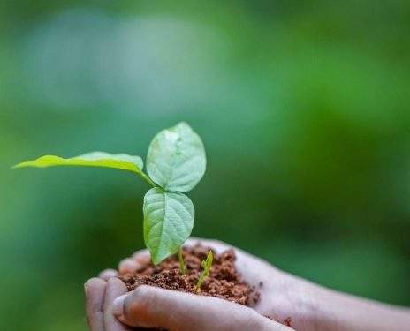 SPHP Jalan Terus! Bapanas Pastikan Harga Beras Tetap Wajar dan Petani Sejahtera