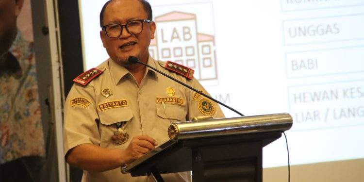 Indonesia Larang Pemasukan Daging Babi dari Spanyol