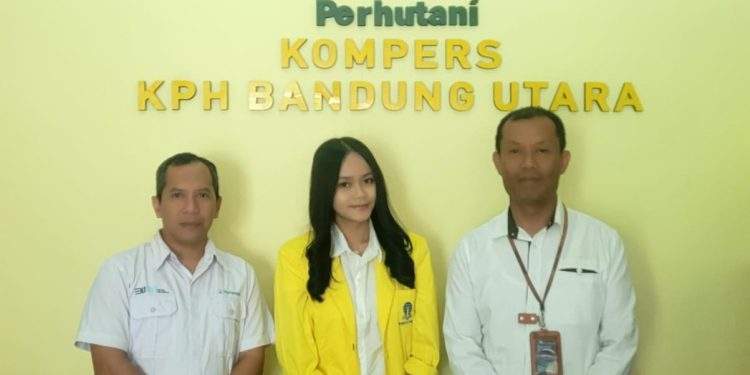 Perhutani Terima Kegiatan PKL Mahasiswi Universitas Terbuka di Bandung