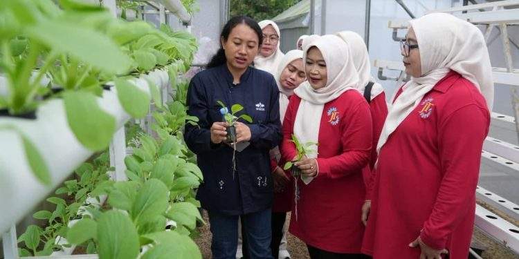 Perkuat Program Ketahanan Pangan, TP PKK Jakarta Timur Kunjungi Ewindo Panah Merah