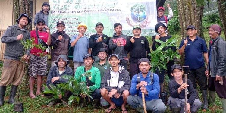Perhutani Bersama Stakeholder Gelar Penanaman Pohon di Wisata Langlang Panyawangan