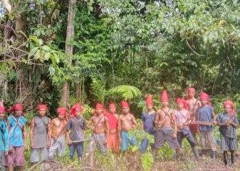 Upacara Sasi di Losa & Piliana, Simbol Perlawanan Rakyat Seram Terhadap “Mafia Karbon’