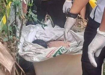 Penemuan Mayat Wanita Dalam Box Container Plastik, Dibungkus Selimut OYO