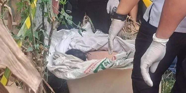 Penemuan Mayat Wanita Dalam Box Container Plastik, Dibungkus Selimut OYO