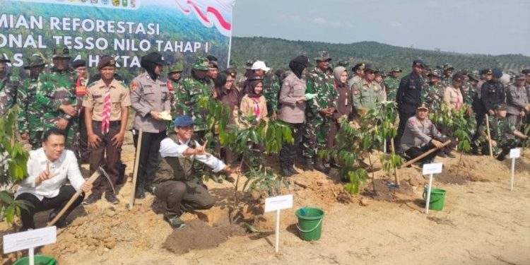 Reforestasi TNTN Tahap I Dimulai, 2.574 Ha Ditanami Kembali