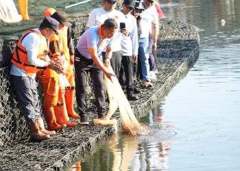 320 Kg Ikan Sapu-Sapu Ditangkap di Waduk Kaja, Operasi Masih Berlanjut