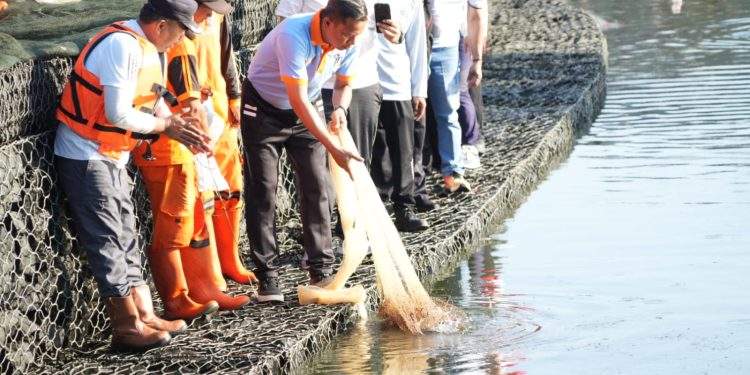 320 Kg Ikan Sapu-Sapu Ditangkap di Waduk Kaja, Operasi Masih Berlanjut