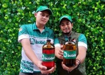 BOBIBOS Disebut Berpotensi Tekan Impor Energi Nasional, Konsep Integrasi Sawah dan Energi Jadi Sorotan