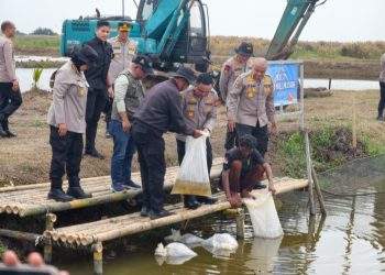 Polda Metro Jaya Tebar 37 Ribu Benih Ikan di Muara Gembong, Dukung Ketahanan Pangan