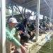 Mancing Bersama Di Pemancingan Kang Ai Sebagai Ajang Silaturahmi