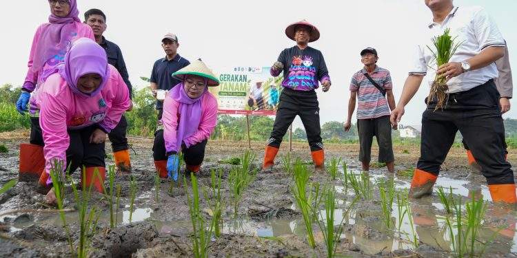 Munjirin Pimpin Gerakan Tanam Serentak di 162 Titik, Perkuat Ketahanan Pangan Jakarta Timur