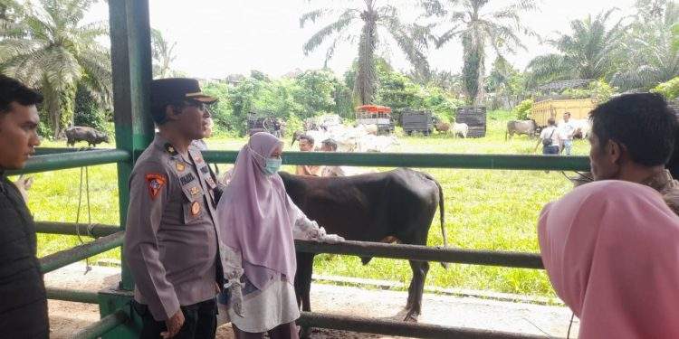 Antisipasi Pencurian Hewan Ternak Menjelang Iduladha, Polres Pasbar Ajak Warga Aktifkan Ronda Malam