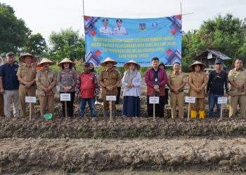 Wali Kota Tebing Tinggi Pimpin Gerakan Tanam Bawang Merah Di Kelurahan Mekar Sentosa