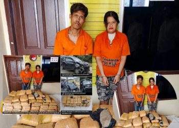 Terlibat Kecelakaan, Mobil Pengangkut Ganja Gagal Berangkat ke Medan