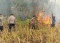 Brimob Malut Respons Cepat, Bersinergi Padamkan Kebakaran Lahan di Desa Tewil*   