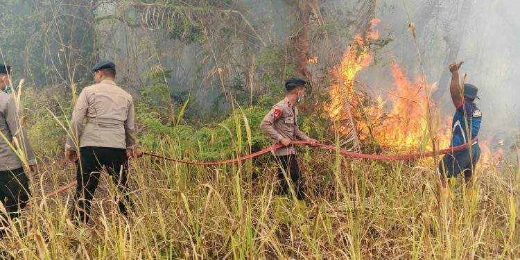Brimob Malut Respons Cepat, Bersinergi Padamkan Kebakaran Lahan di Desa Tewil*   