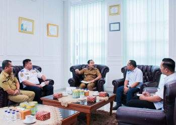 Terima Audiensi Pln, Wali Kota Tebing Tinggi Minta Percepatan Kolam Renang  Pemko Dan Penerangan Jalan
